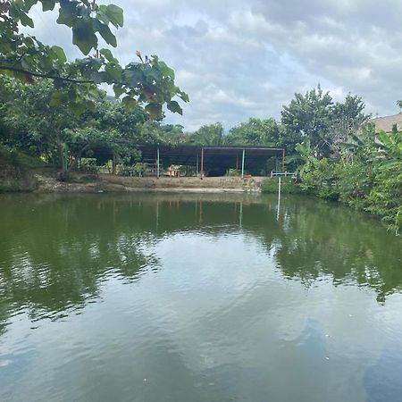 Cabanas Ecoturisticas Y Club Gaira Tayrona Villa Santa Marta  Kültér fotó