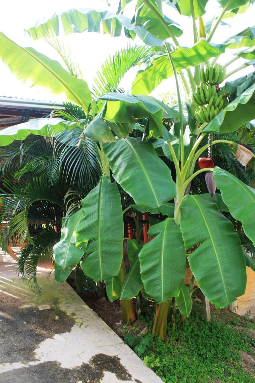 Cabanas Ecoturisticas Y Club Gaira Tayrona Villa Santa Marta  Kültér fotó