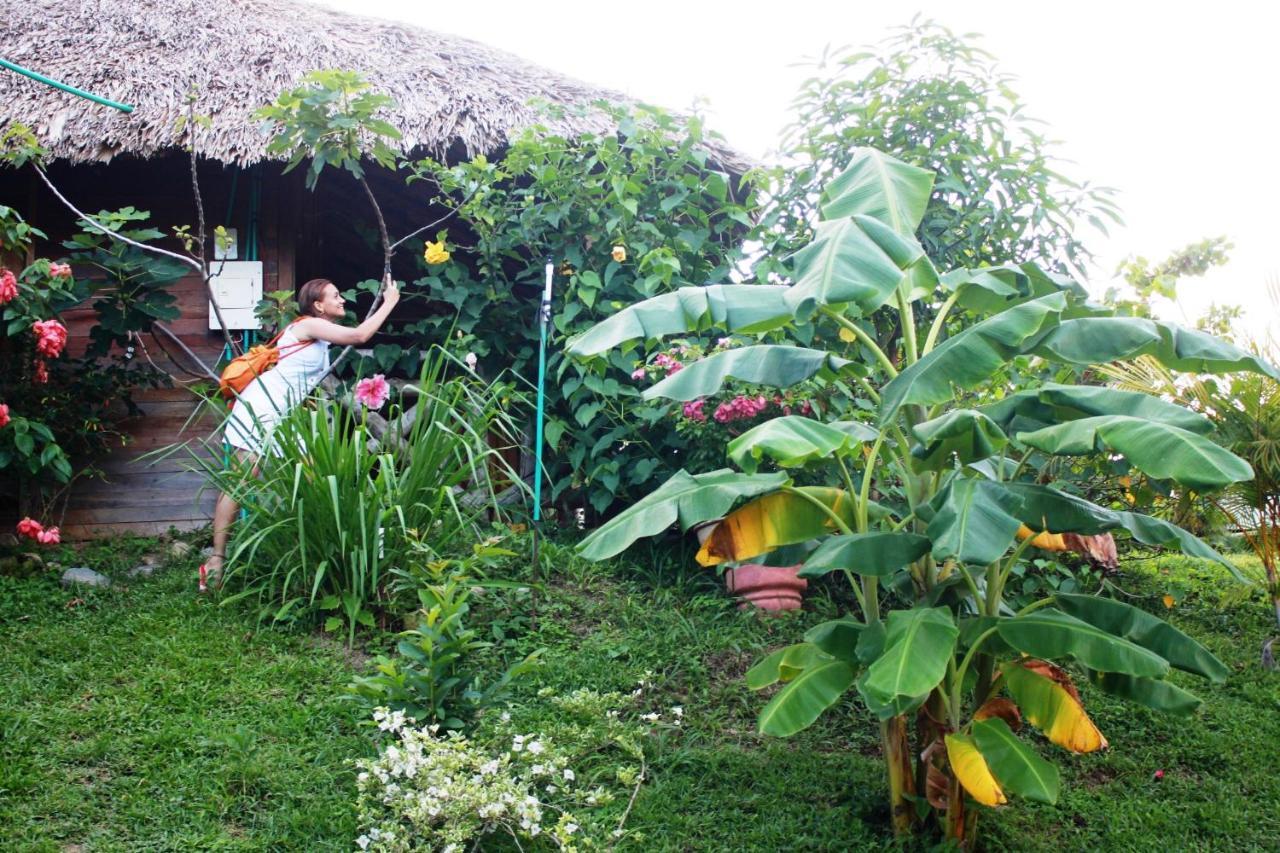 Cabanas Ecoturisticas Y Club Gaira Tayrona Villa Santa Marta  Kültér fotó